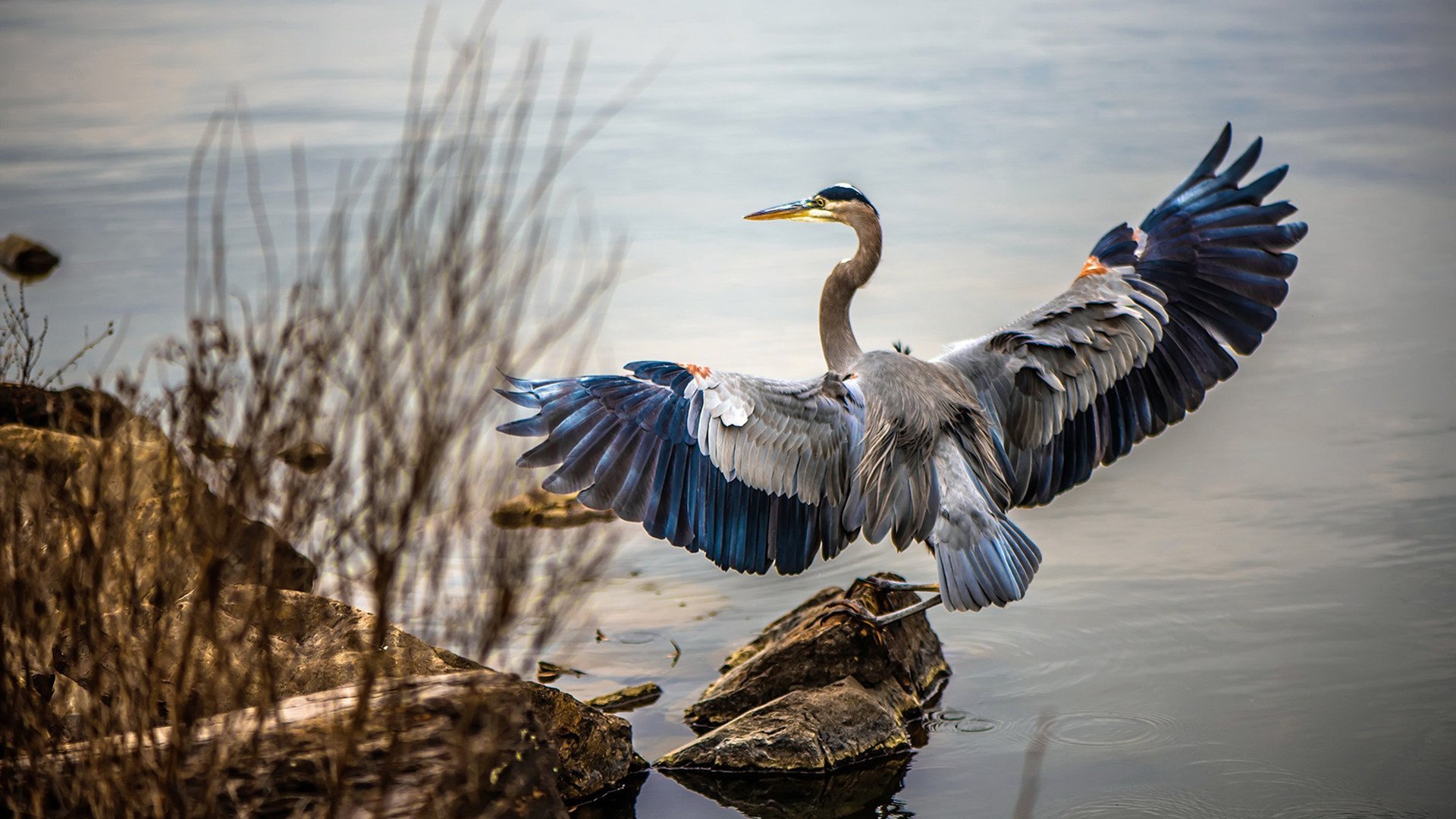 比赛垃圾时间是否应有管理机制，比赛前垃圾话