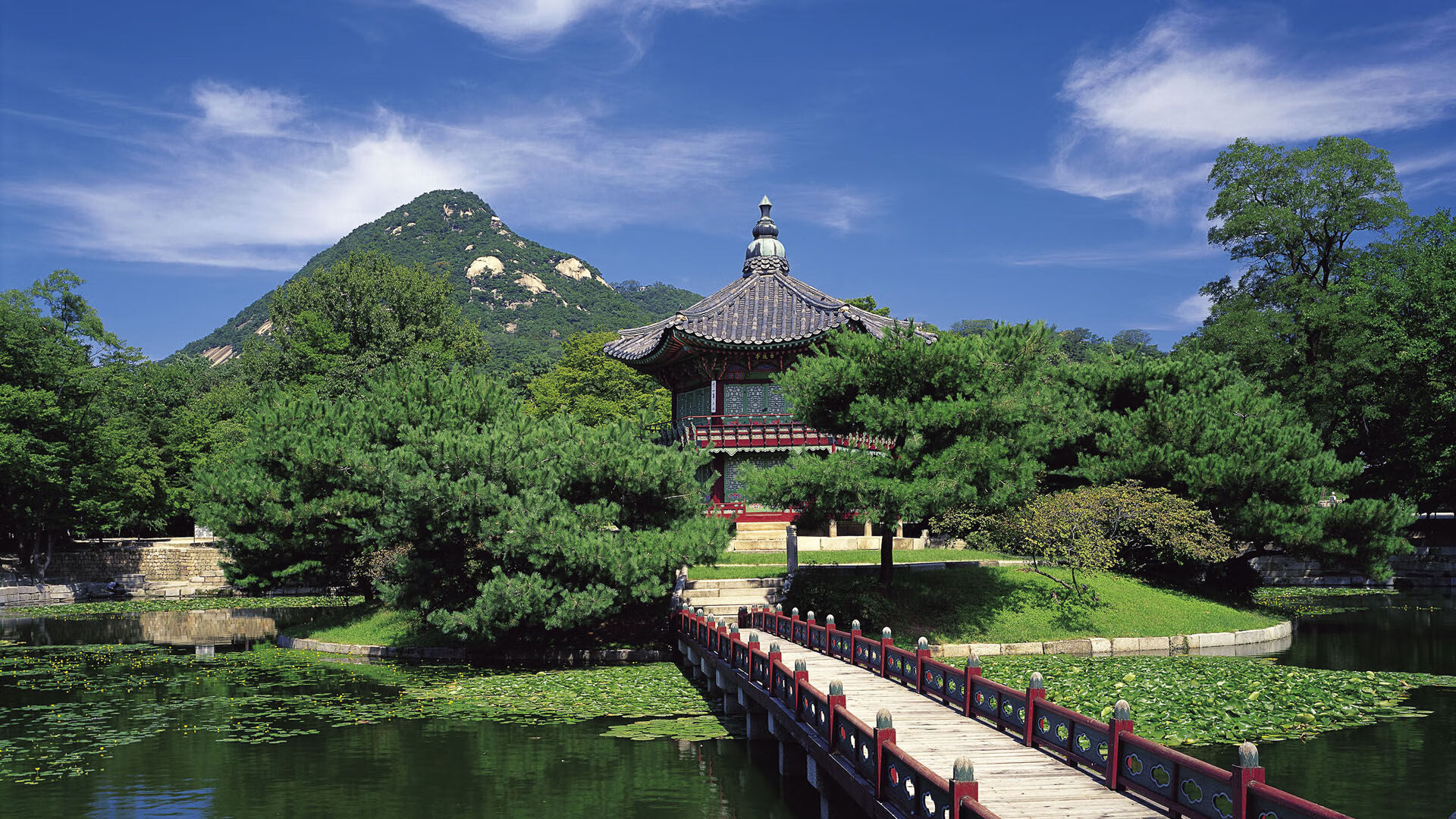 德国女队混合泳决赛排名第六，德国女单选手