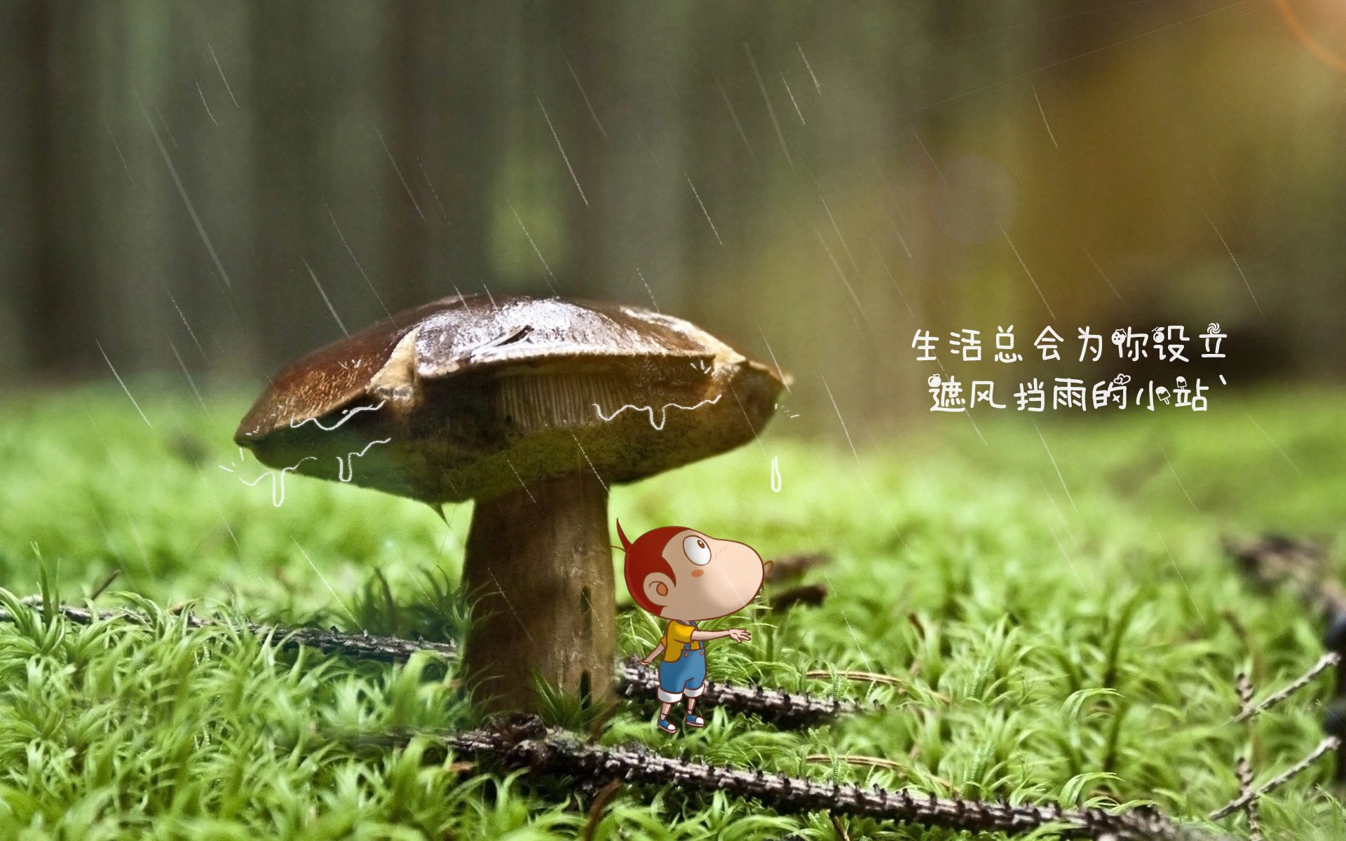 波兰队赛制解析：如何通过精准的战术调整赢得关键比赛，波兰队阵型