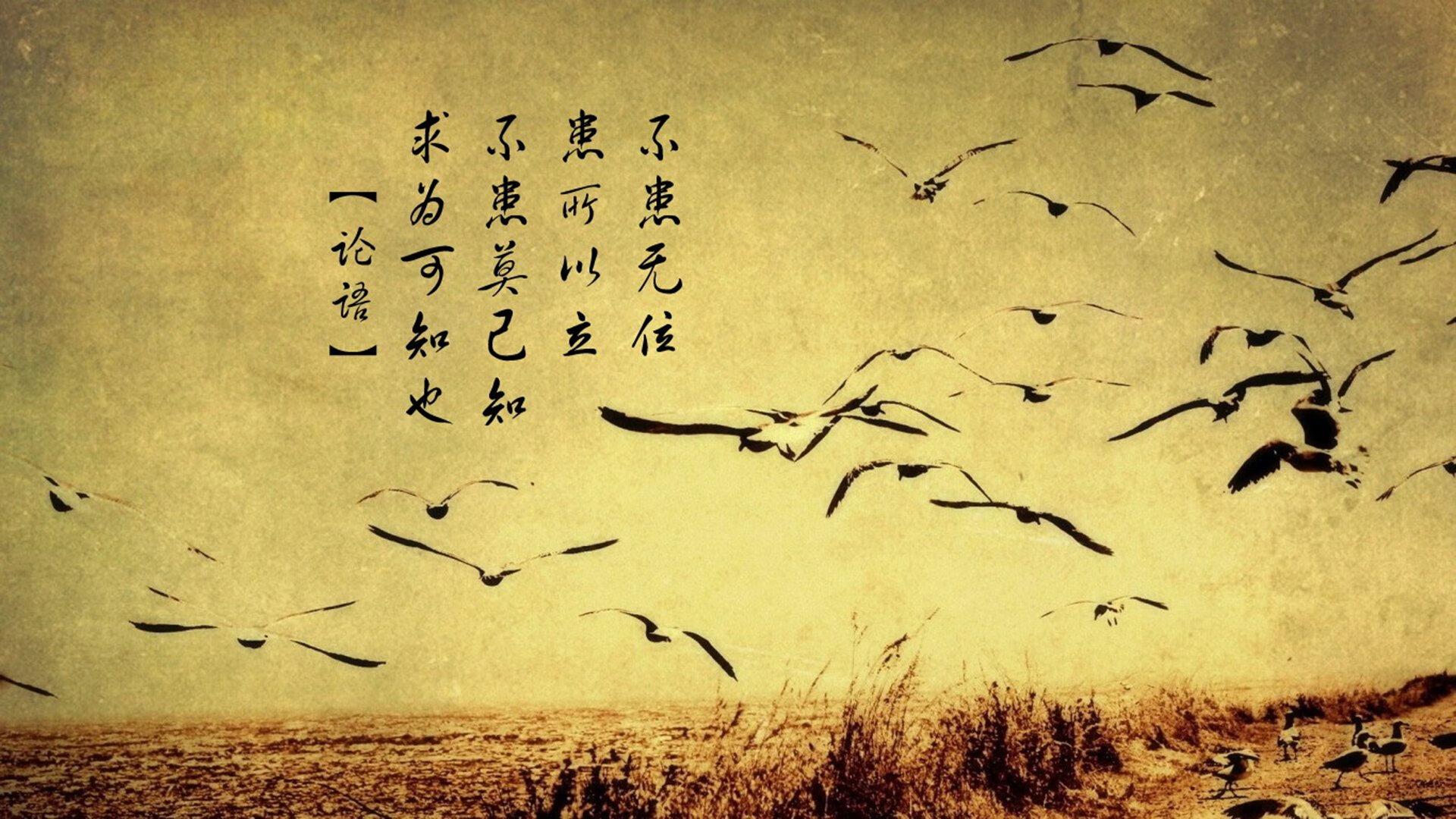 克洛普不断革新战术，带队追求最高荣誉