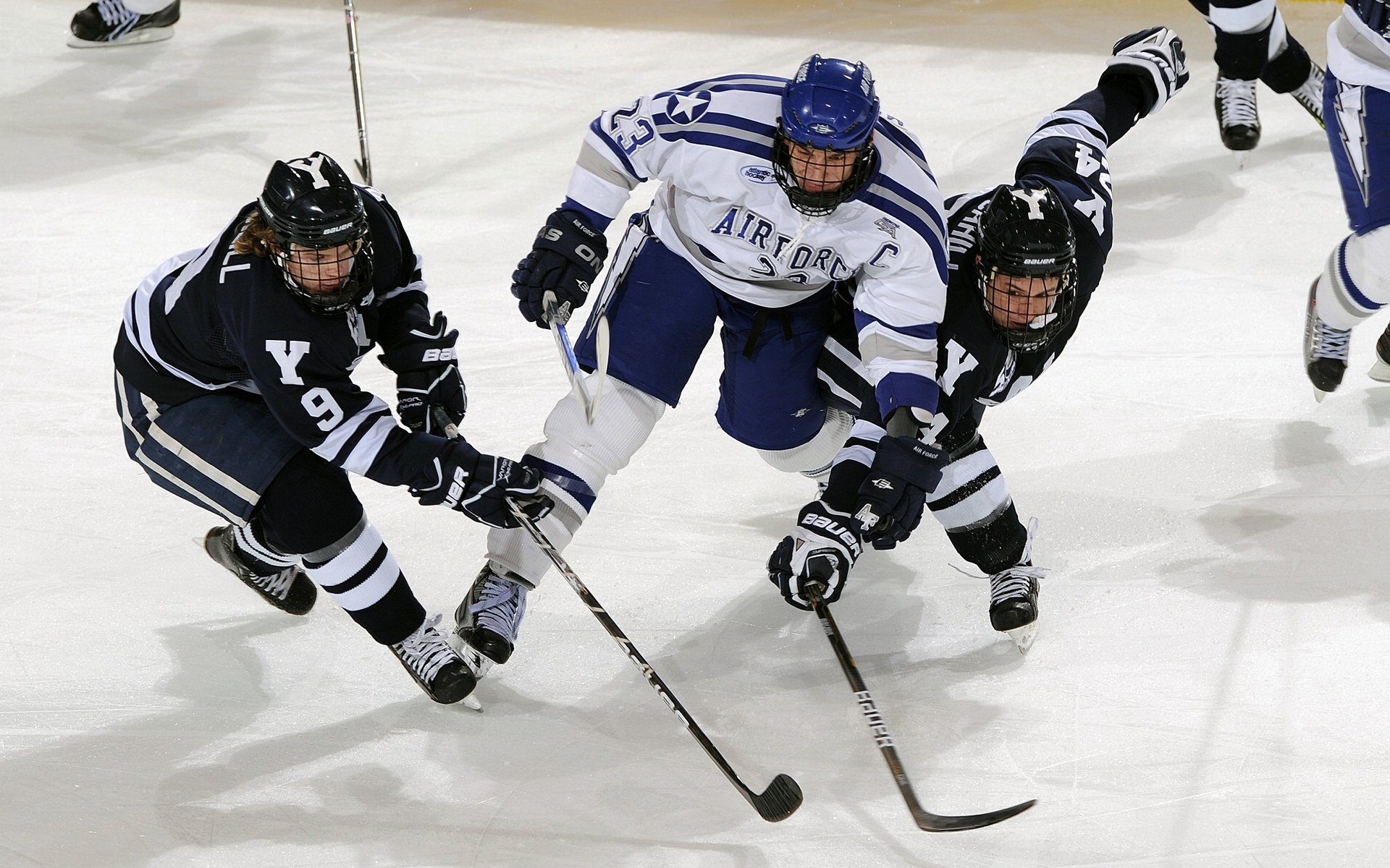 日本马术协会推出马术运动员健康管理系统，关注运动员身心健康。